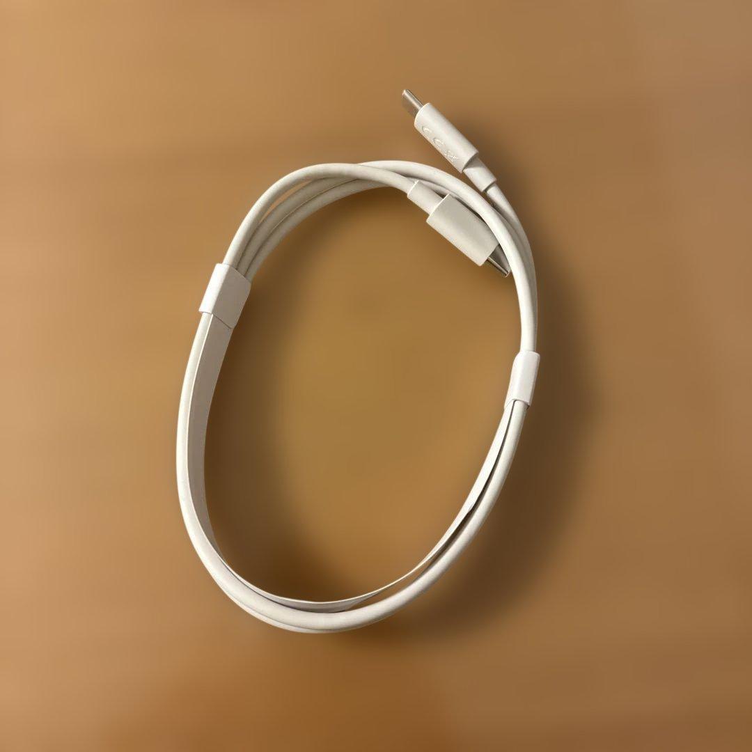 Nintendo Switch Lite 本体 ターコイズ 動作確認済み