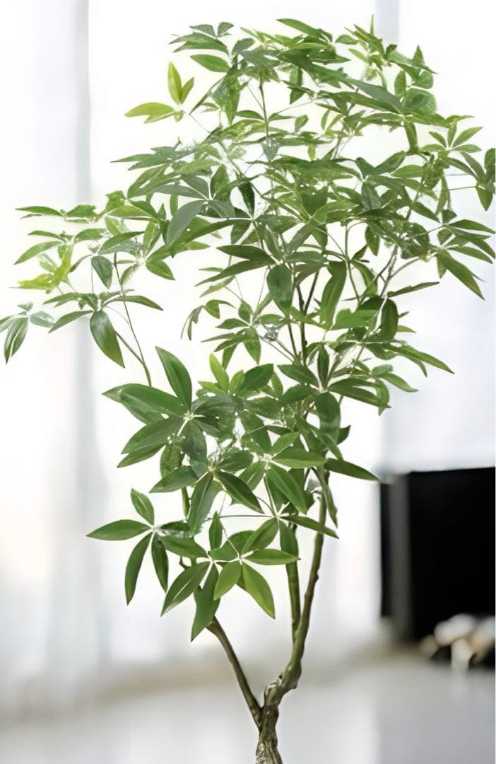 光触媒　人工観葉植物　ウォールグリーン　フェイクグリーン　パキラツリー210