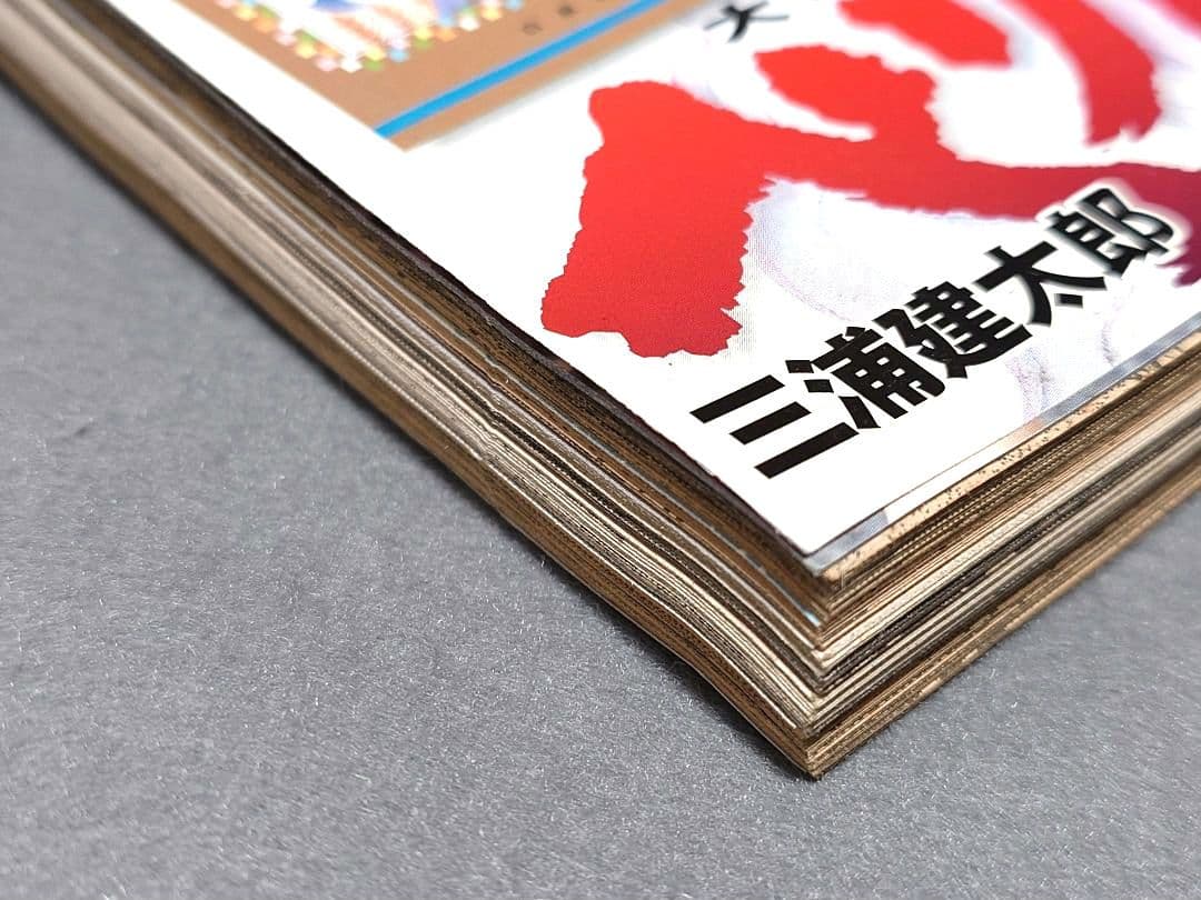 ヤングアニマル2008年21号/ベルセルク表紙&特別カバー付録未切/三浦建太郎