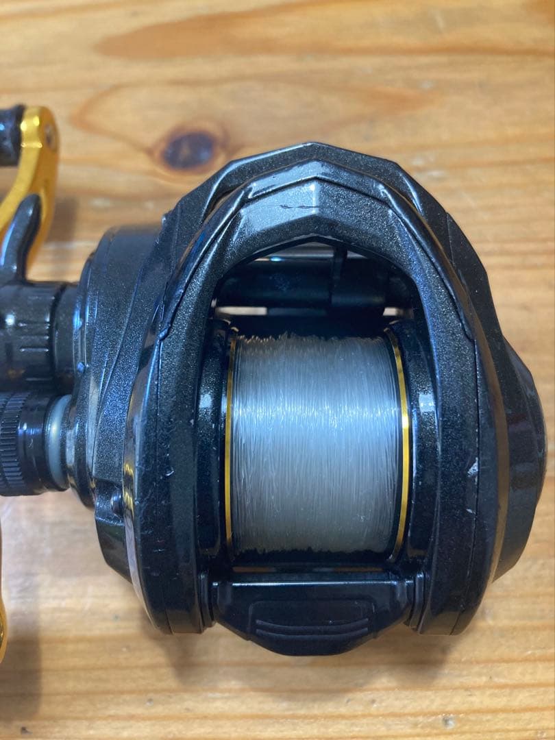 リール Abu Garcia Roxani Powershooter