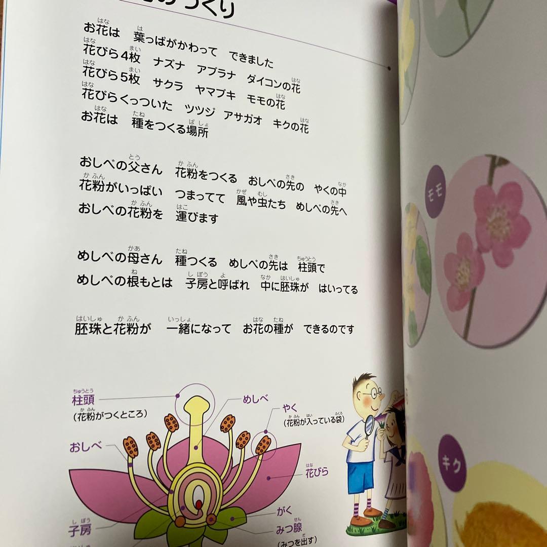 七田式　理科ソング＋社会科ソング　4冊セット　CD付