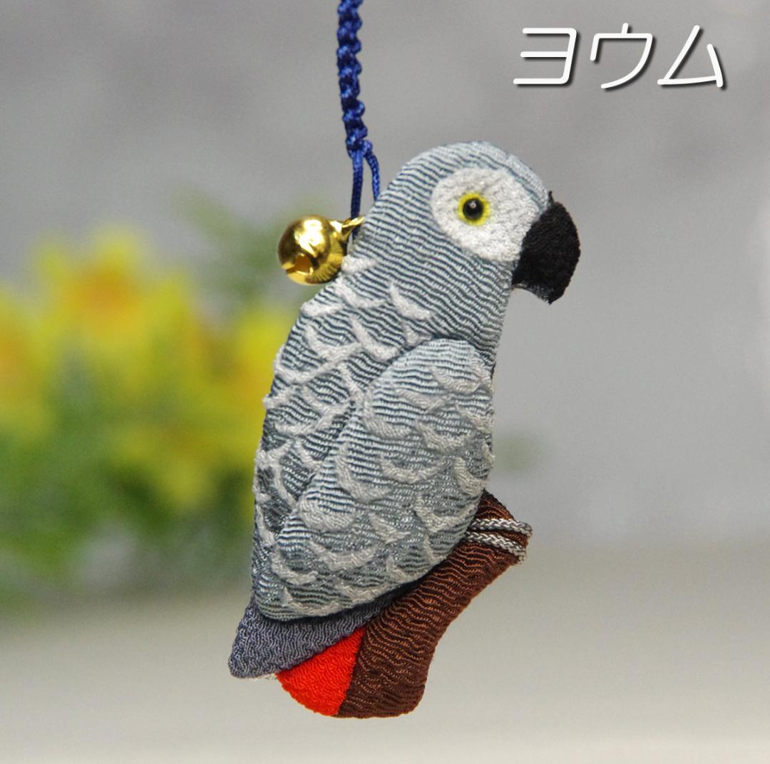 ヨウム シルバー文鳥 サザナミインコ クリーム グリーン濃・淡 - メルカリ