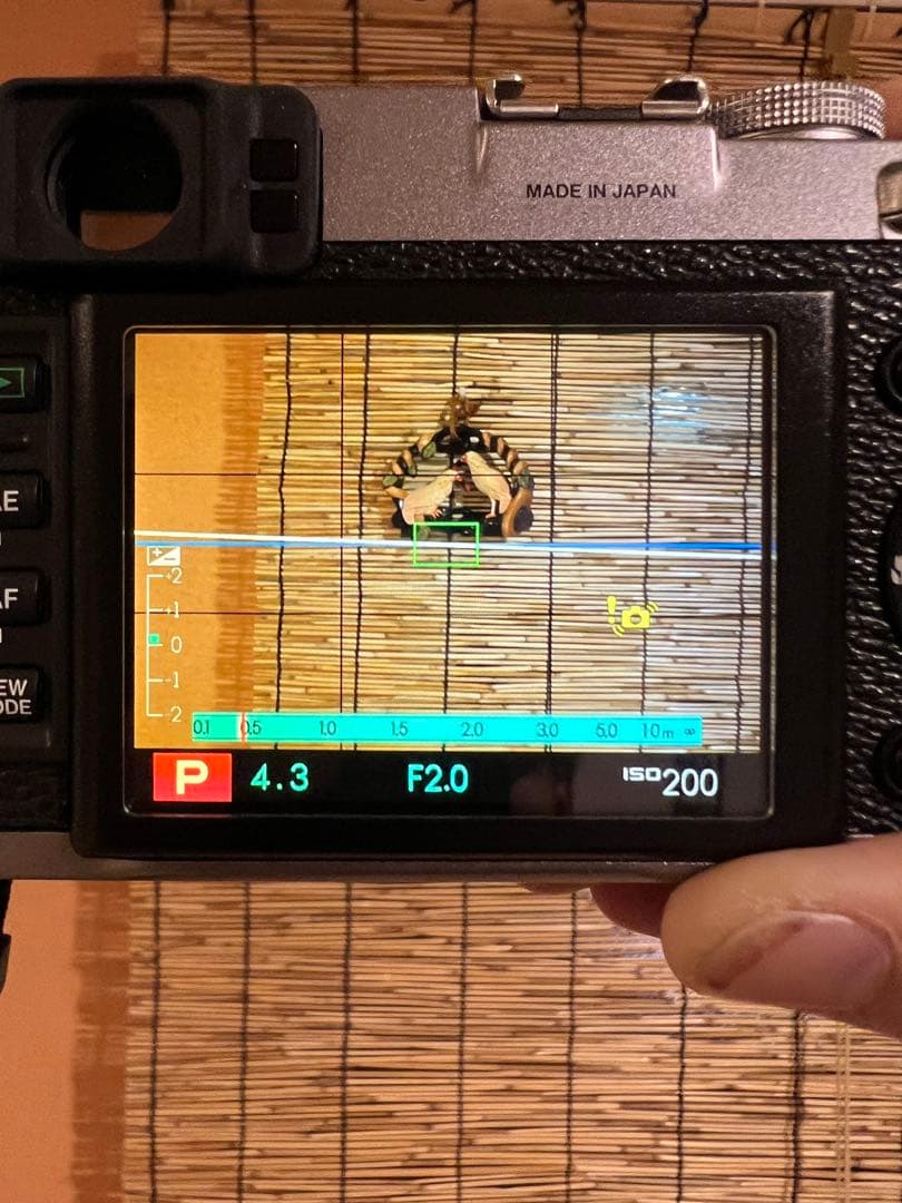 Fujifilm X100 シルバー 本体