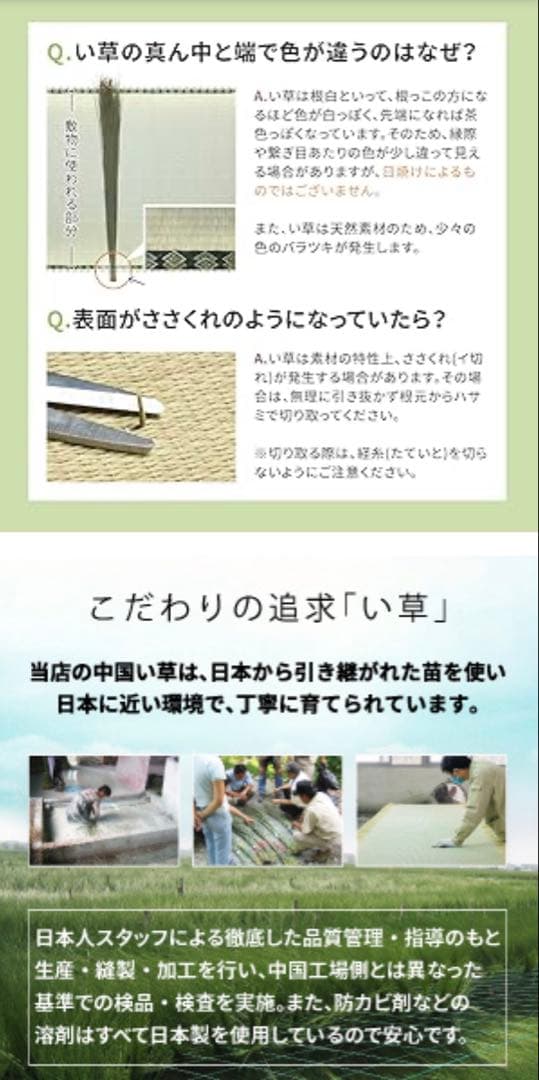 萩原 い草 花ござ ラグ 「南風」 江戸間 6畳