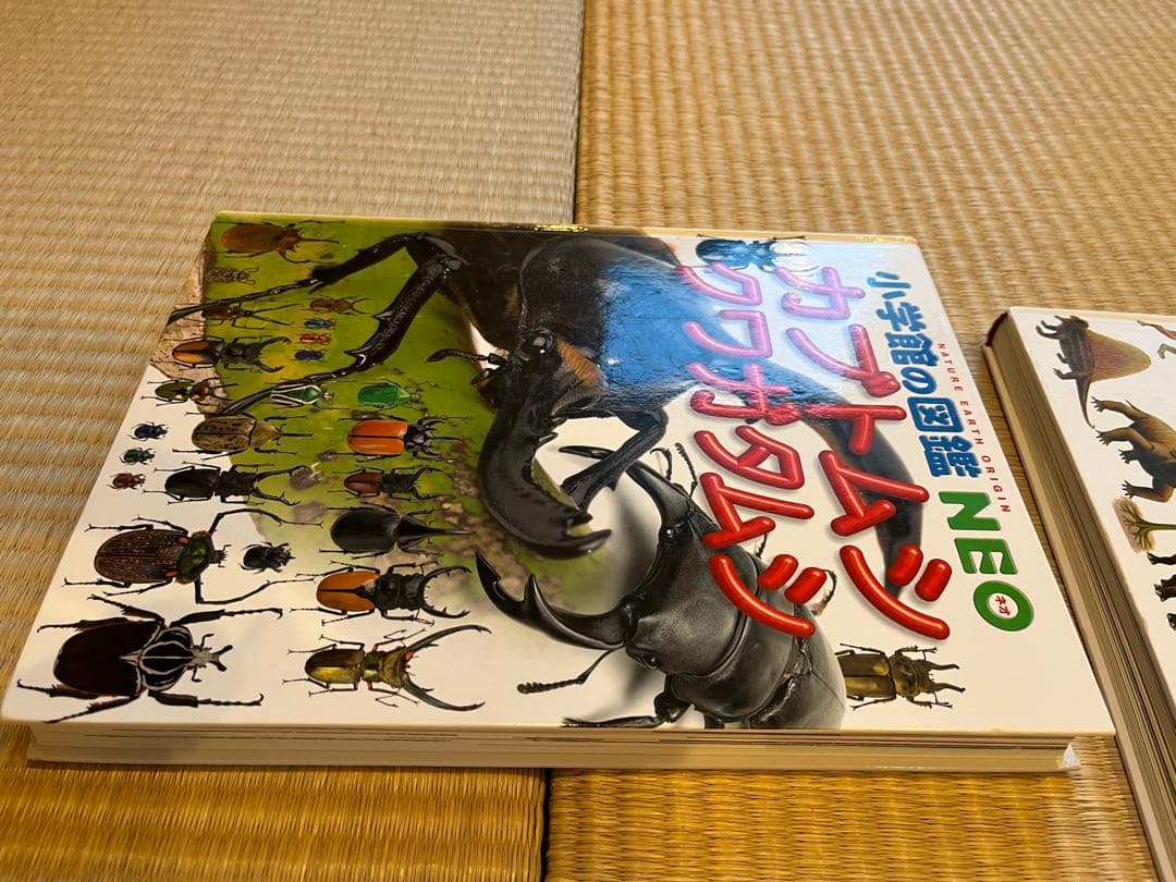 小学館の図鑑NEO 11巻セット