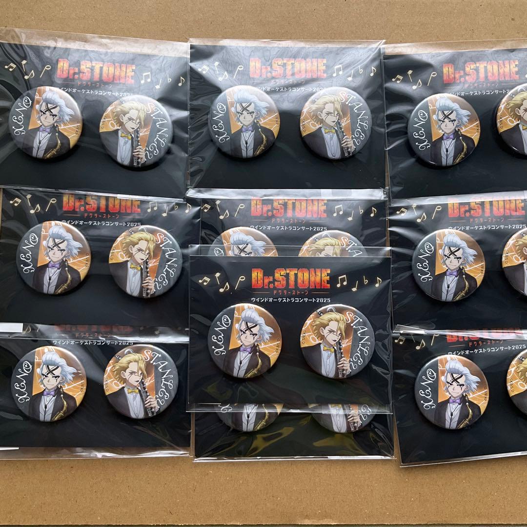 dr.stone スキマストア フライトジャケット 缶バッジ 30個 スタンリー