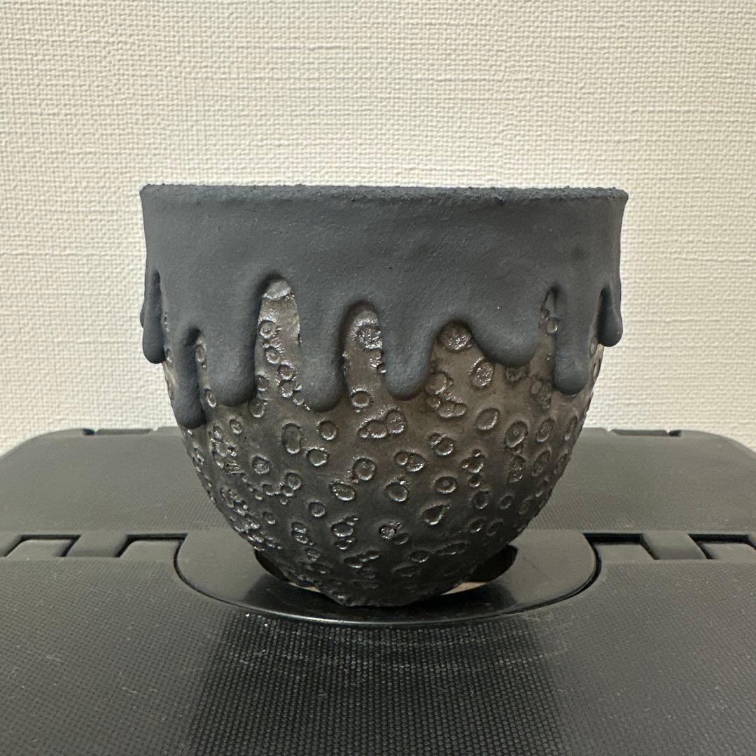 left botanical レフトボタニカル鉢