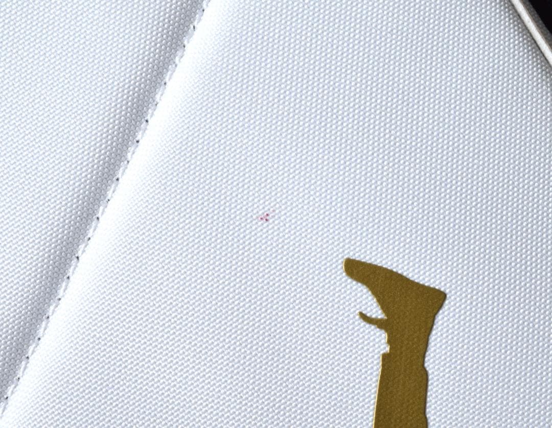 2025モデル Jordan ジョーダン ゴルフキャディバッグ USED 6分割