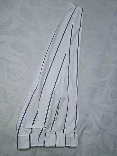 Lサイズ ミズノプロ JAPAN 日本代表 ジャパン L寸 ロングパンツ