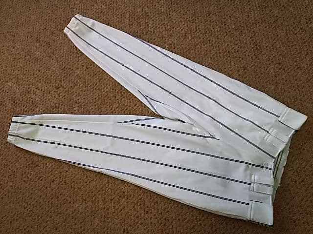 Lサイズ ミズノプロ JAPAN 日本代表 ジャパン L寸 ロングパンツ