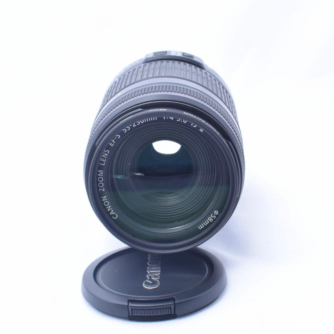 ❤️望遠レンズ❤️Canon EF-S 55-250mm F4-5.6 IS