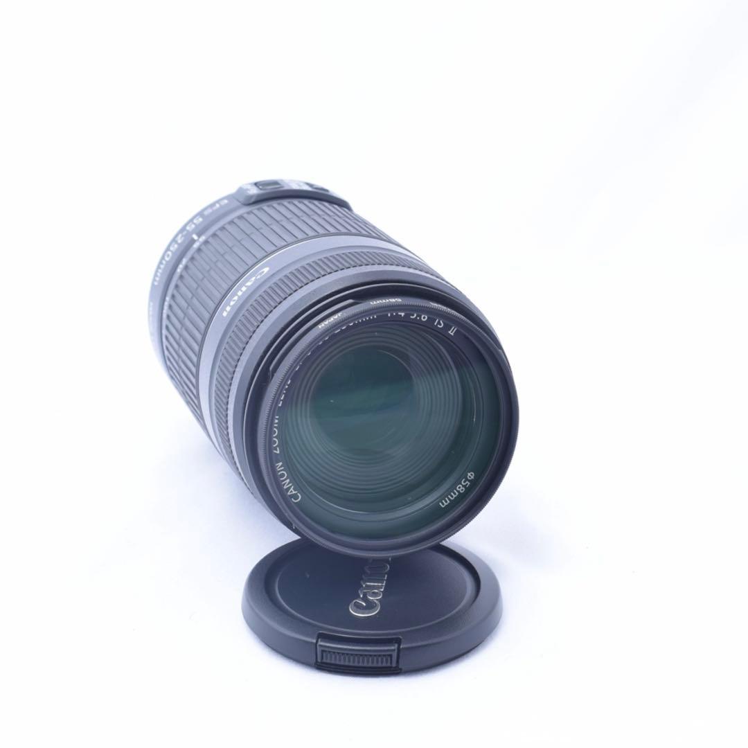 ❤️望遠レンズ❤️Canon EF-S 55-250mm F4-5.6 IS