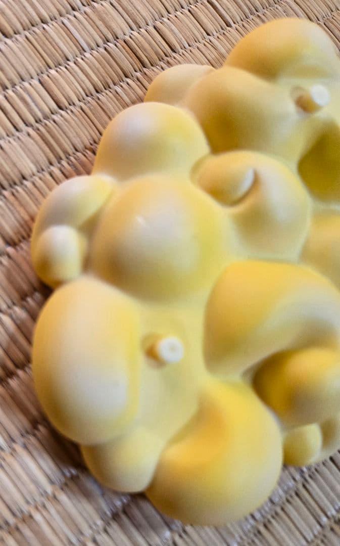 希少ドラゴンボール VCD孫悟空 フィギュア