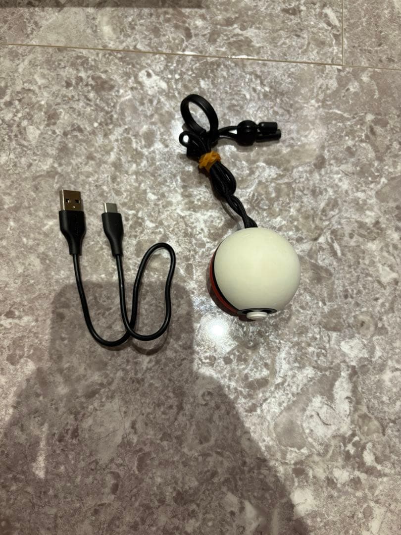 ニンテンドーSwitch イーブイ　動作品