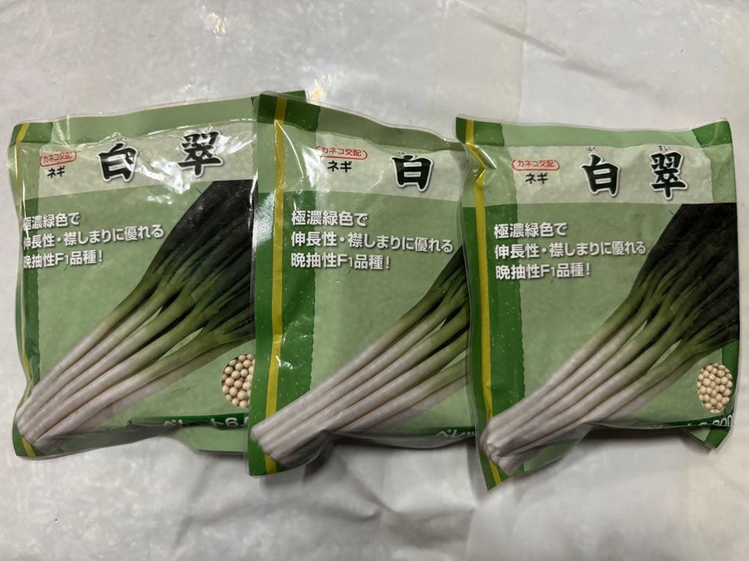 ねぎ 関羽一本太 ペレット種子5千粒 （株）トーホク : グリーンロフト