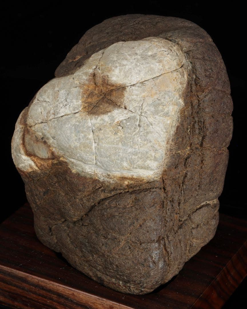 菊花石　花紋石 自然石 台座付 2.1kg 水石 置物 盆石 鑑賞石 原石 美石