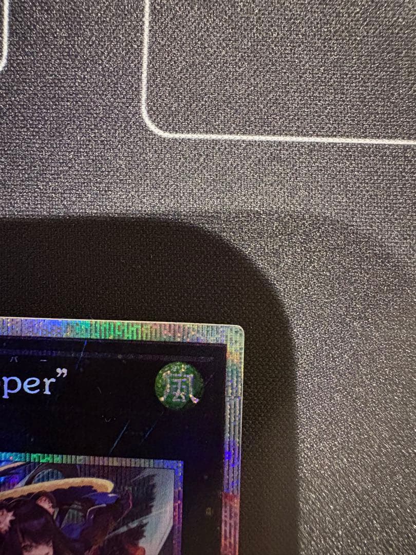 K9-17号 \"Ripper\" プリシク