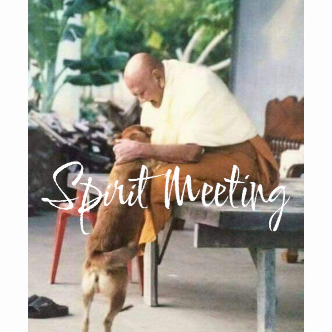 お年賀出品　純銀製　幸運と富を呼ぶ魔法の鯉プラタピアン　ルアンプーホン師2543