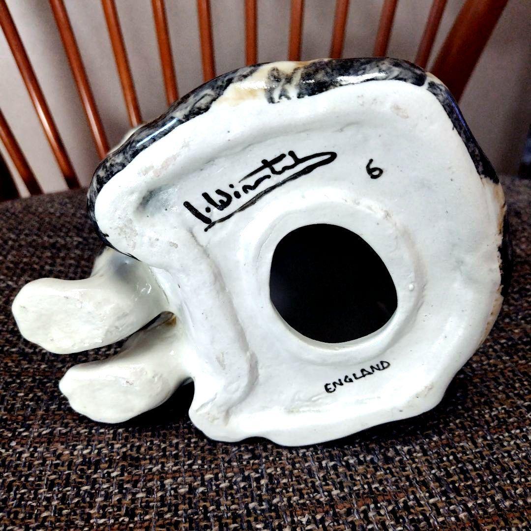 ウィンスタンレイキャット（ケンジントンキャット）サイズ6の大きな三