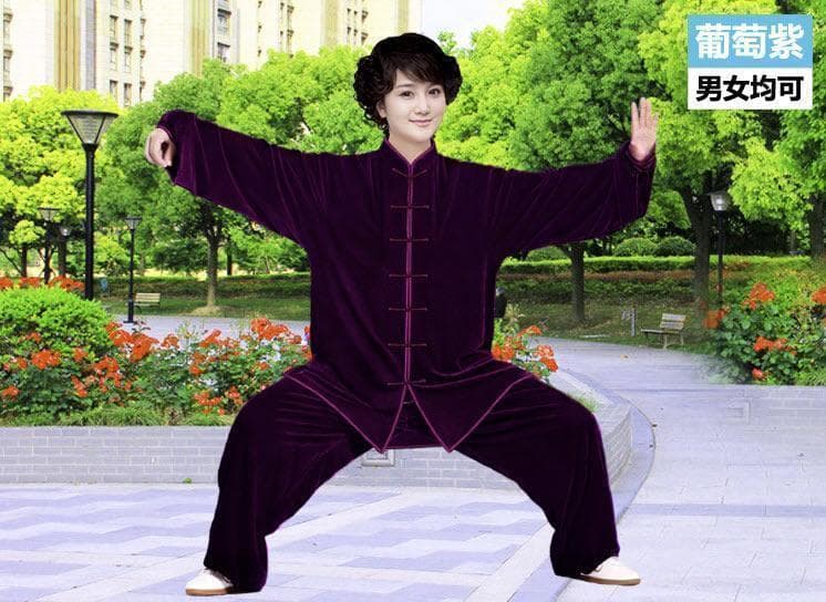 太極拳 ベロア調 太極服 上下 L サイズ 男女両用 葡萄紫【新品】