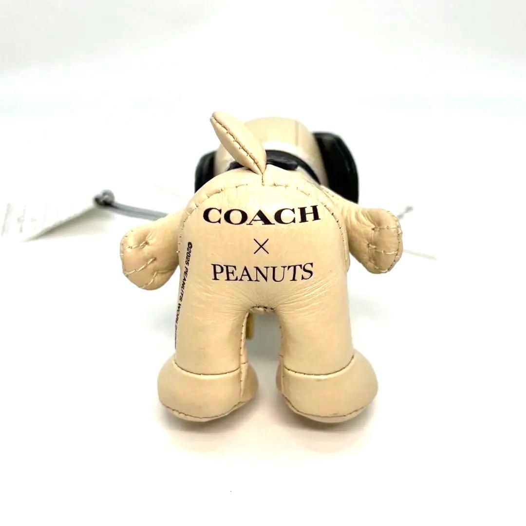 ☆ Mia＊ ☆新品☆COACH x PEANUTS スヌーピー