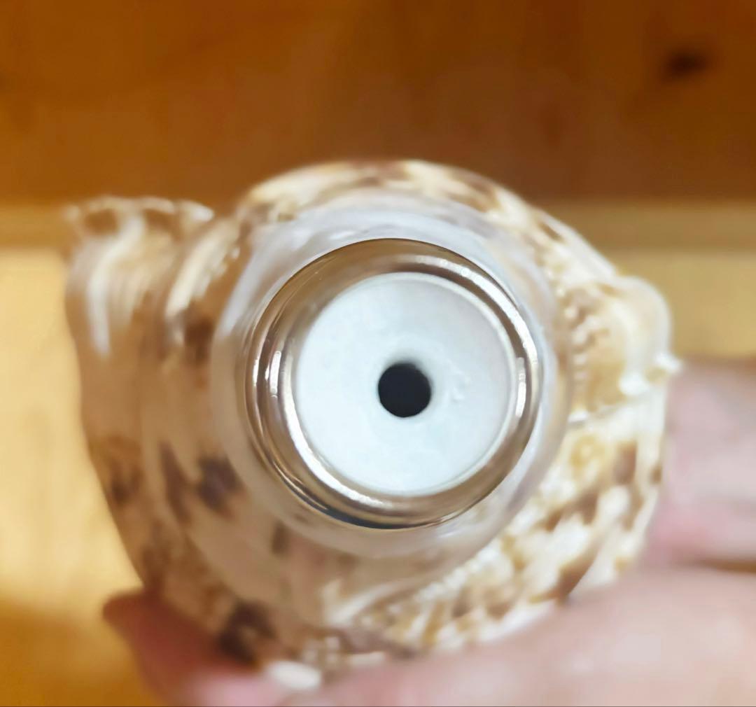 修験道法螺貝32.5㎝　山伏　密教　魔除け　熊よけ❣️ホラガイ　ほら貝