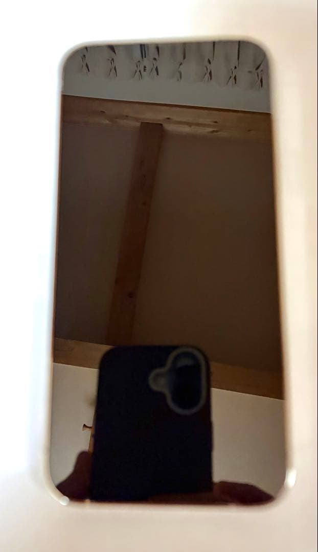 Apple iPhone 13 Pro Max シルバー 本体(中古)