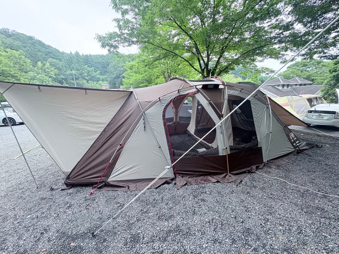 コールマン　カーブ