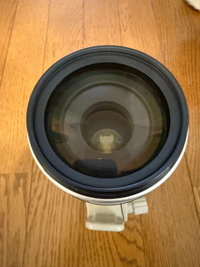 チ*中様 Canon EF 100-400mm f/4.5-5.6L IS US