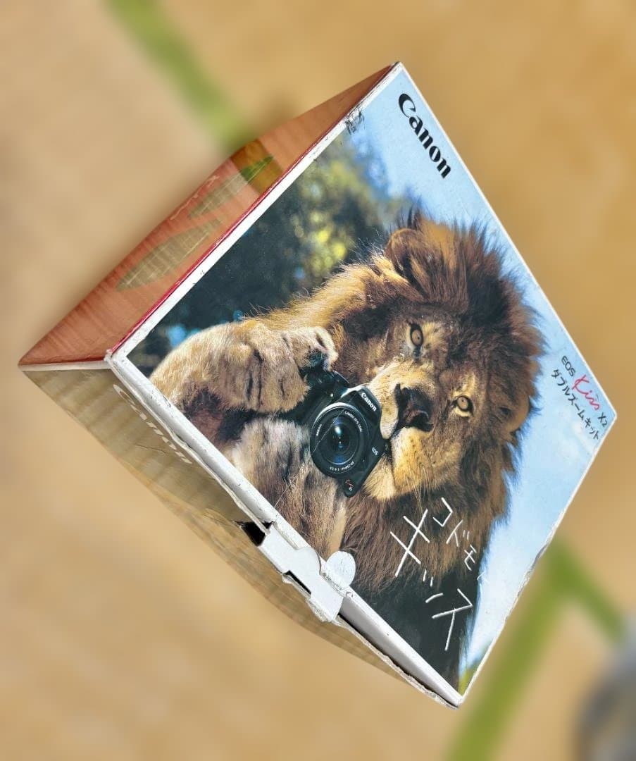 Kiss X2 デジタル一眼(ボディ＆レンズ2種)※充電器、ケーブル無