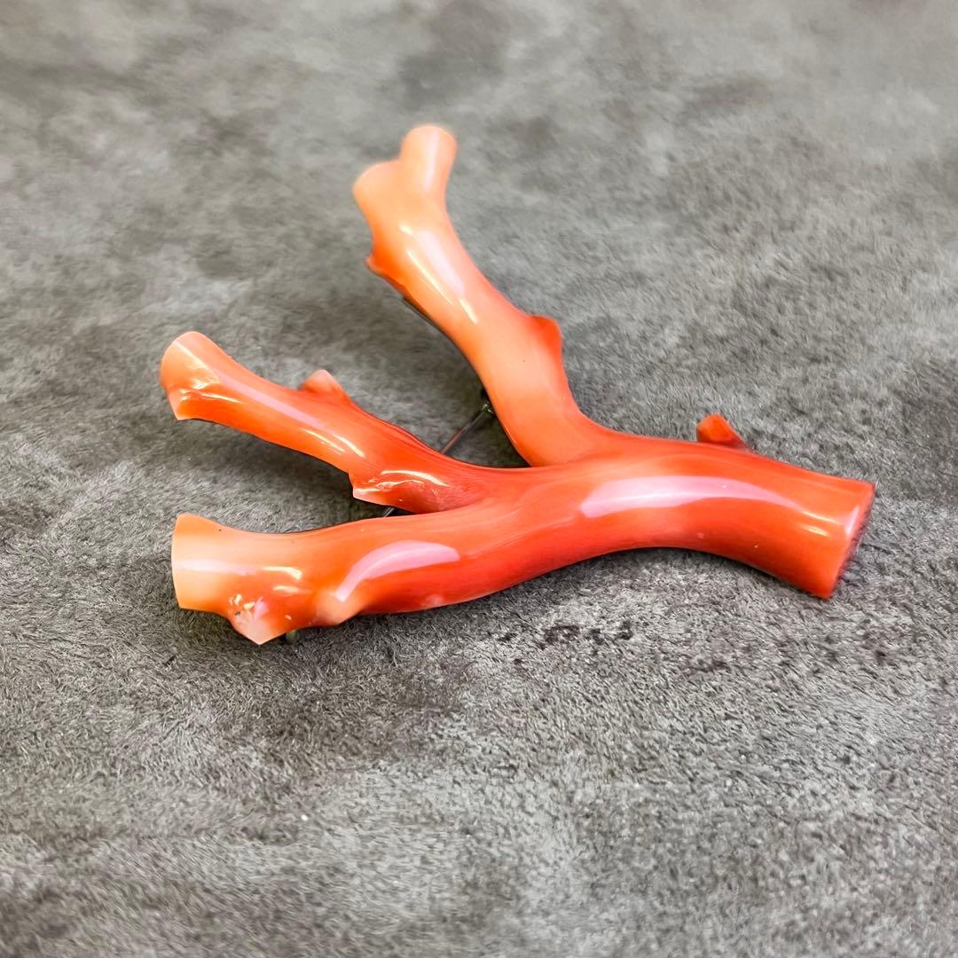 本珊瑚 珊瑚 枝珊瑚 さんご ブローチ 高知 総重量 12.7g