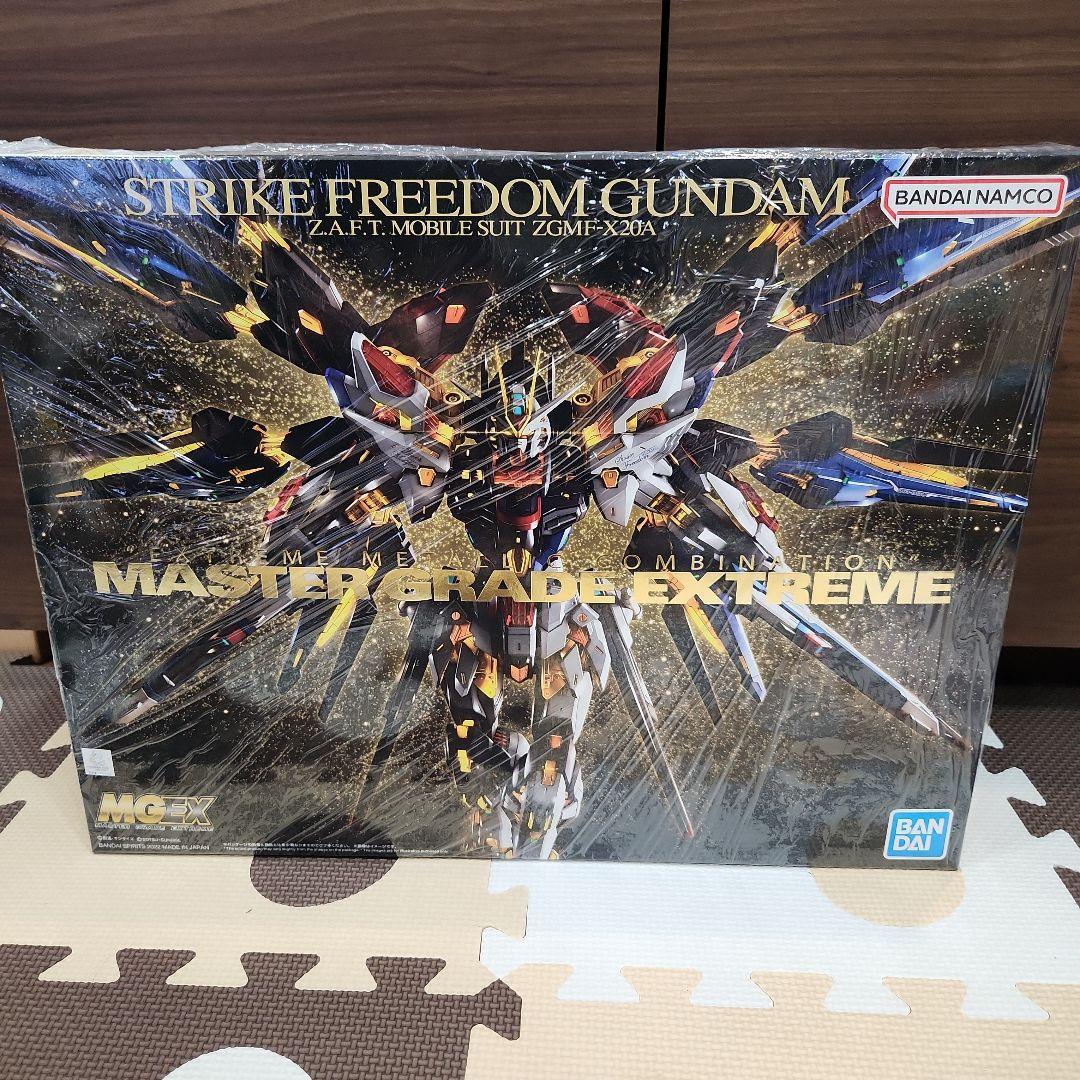 真筆保証【内山田画廊 謹製】ワダールの激情f10号キャンバス