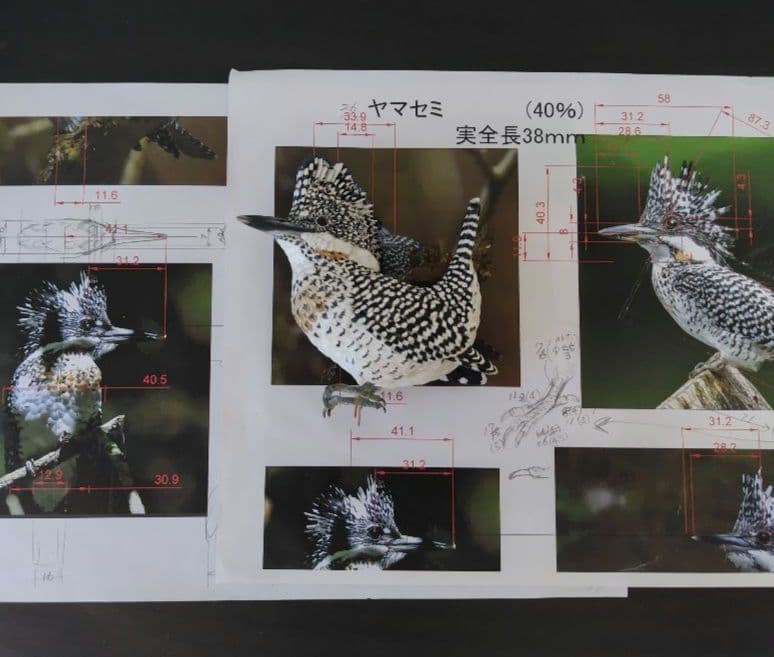 バードカービング”ヤマセミ”(山翡翠）40%スケール S.No.:B04711