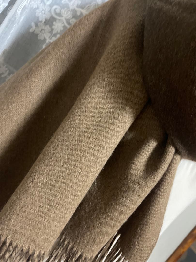 THE INOUE BROTHERSアルパカ