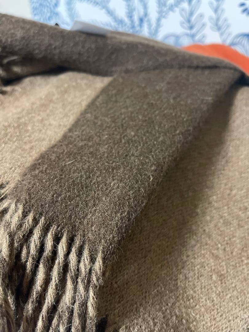 THE INOUE BROTHERSアルパカ