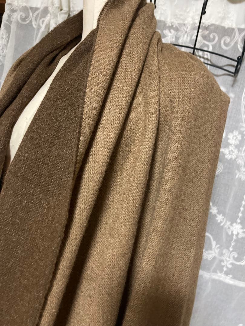 THE INOUE BROTHERSアルパカ