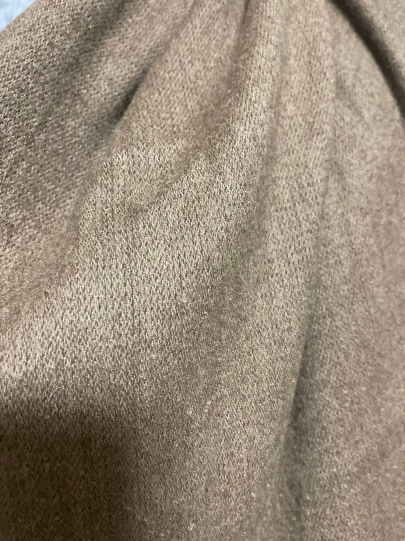 THE INOUE BROTHERSアルパカ