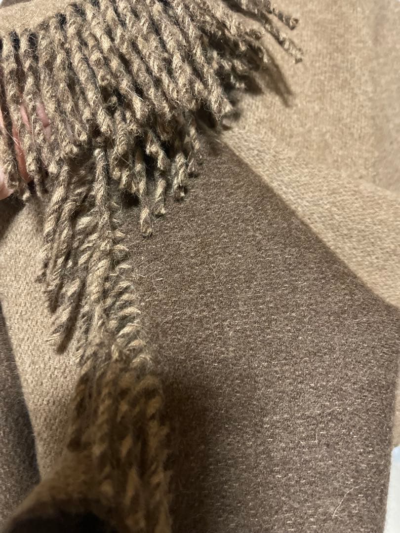 THE INOUE BROTHERSアルパカ