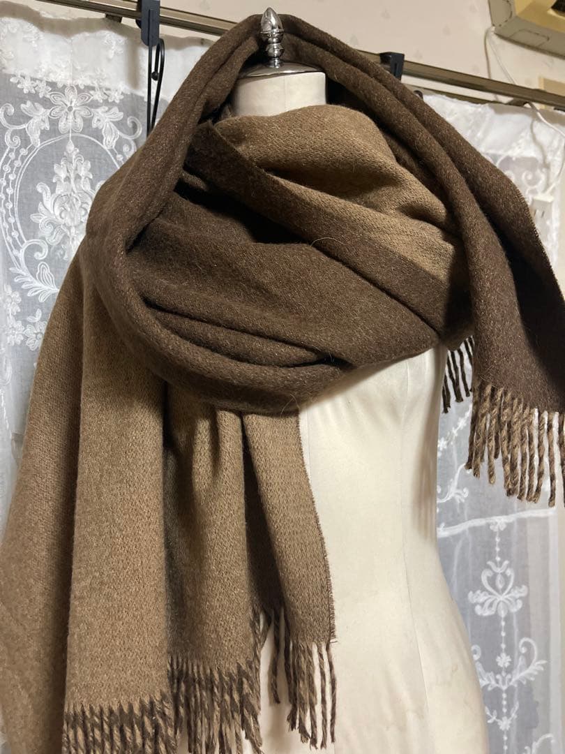 THE INOUE BROTHERSアルパカ