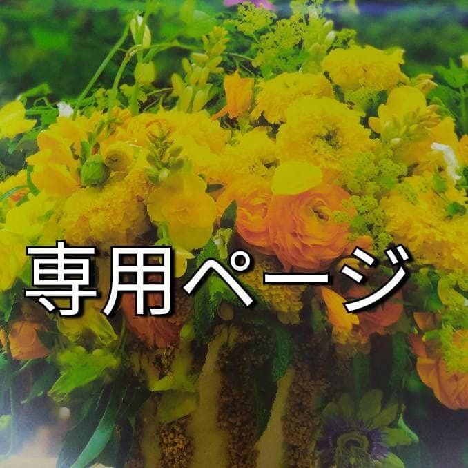 セール！新品未開封！リサージスキンメインテナイザーDX2レフィル