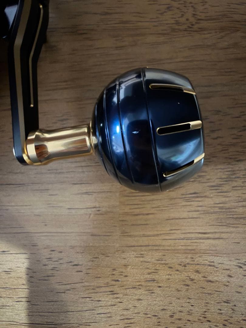 ダイワ21ソルティガic 23追加モデルソルティガIC 100H-DH右ハンドル