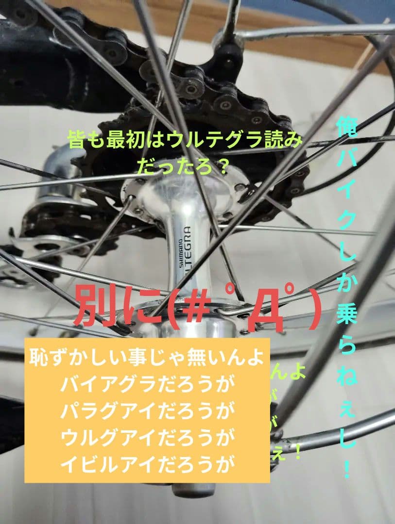 ブリジストン　モールトン　Fキャリア付属　 シートSELLEAN-ATOMICA