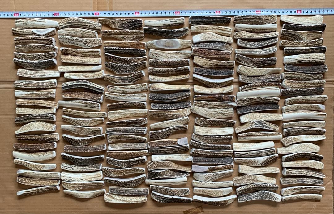 No.2118『鹿角4つ割り150本セット』鹿の角 エゾ鹿 鹿角 蝦夷