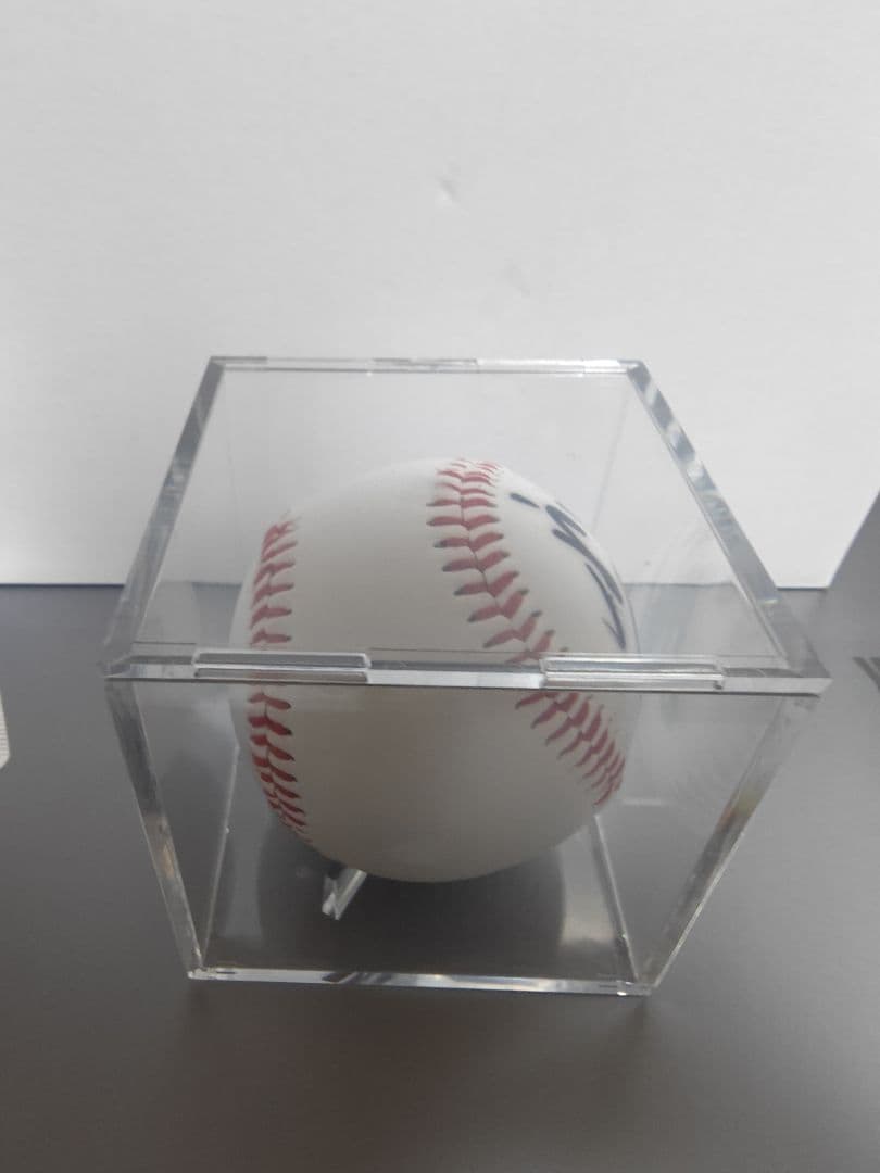 東京ヤクルトスワローズ 村上宗隆 山田哲人 直筆サインボール 2個