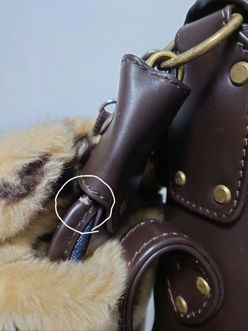 極上極美品✨EVISU＆GOLF デニム キャディバッグ フード一体型初期