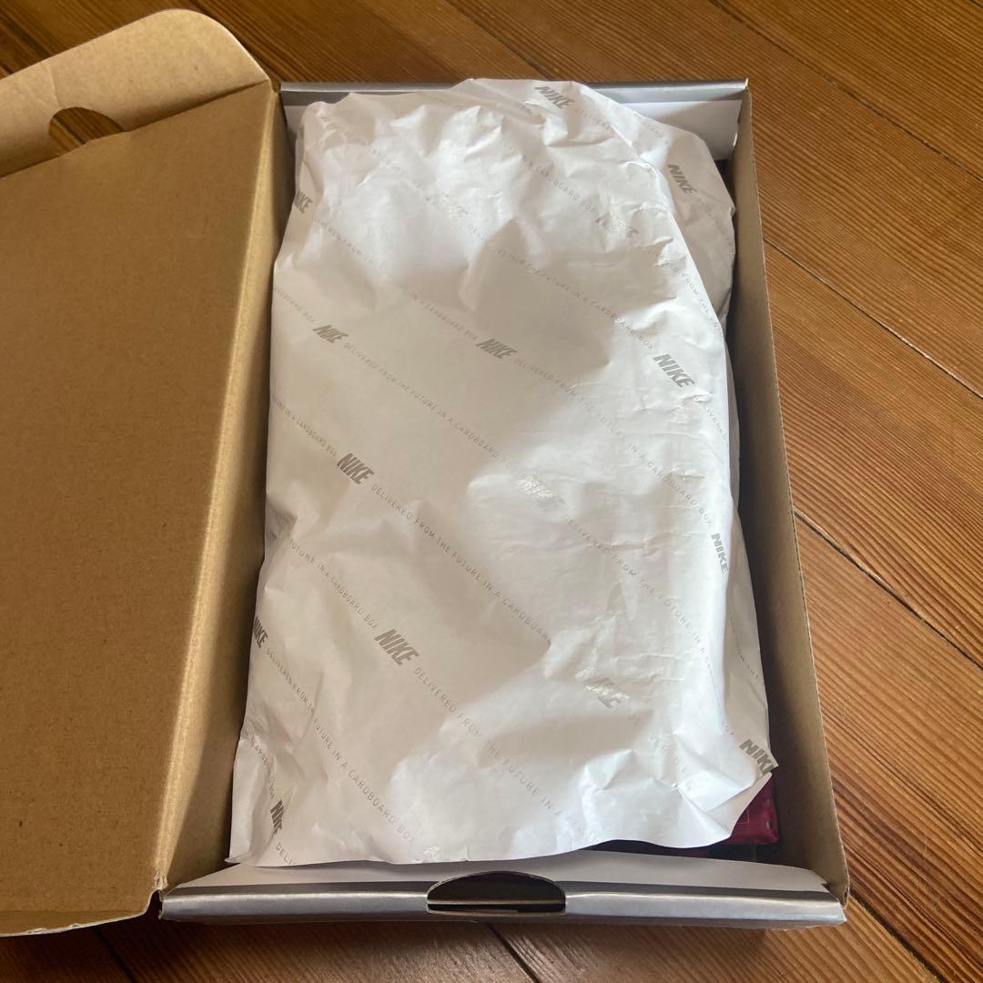 ティエンポレジェンド9エリートFG 25.0cm