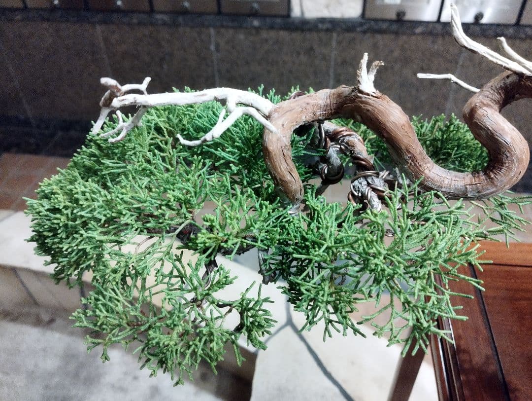 素晴らしい糸魚川真柏盆栽2個セット