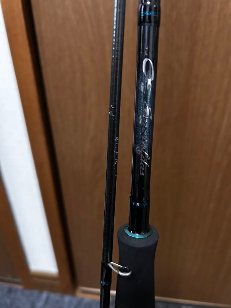 ダイワ エギングロッド カーボン製 ブラック 専用ケース付き 新製品