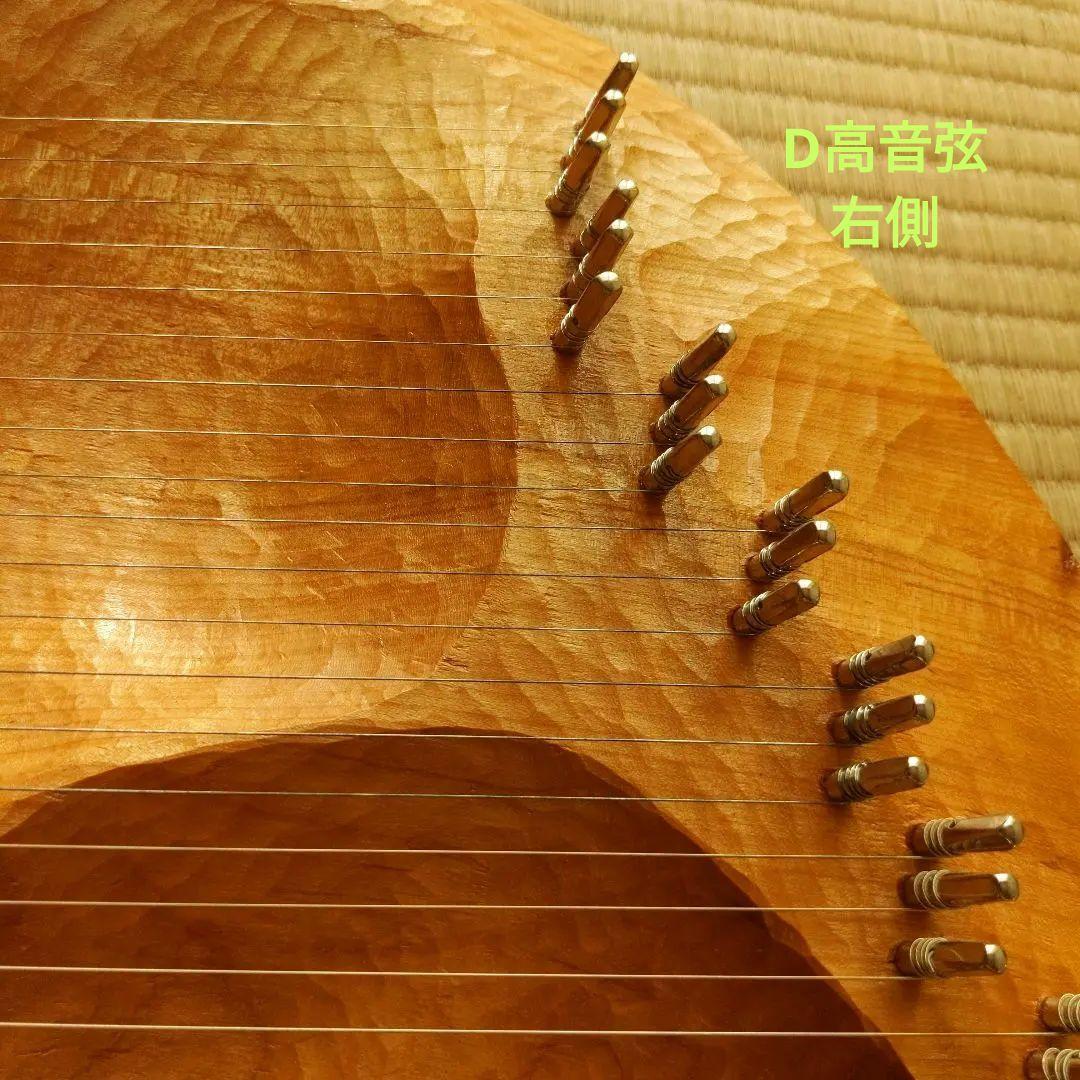 タオライアー 専用ケース付き 2014年製