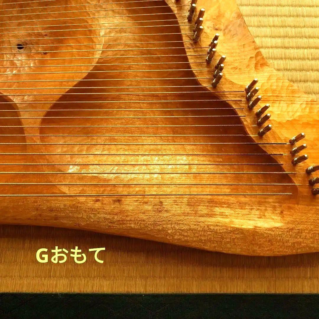 タオライアー 専用ケース付き 2014年製